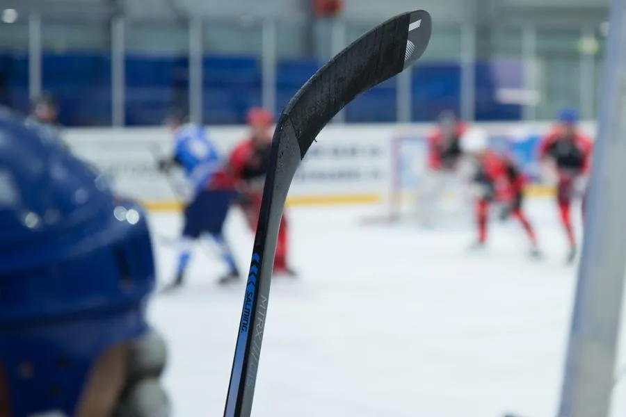 В следующем сезоне обязательным атрибутом экипировки хоккеиста станет защита шеи | ФОТО Pixabay 