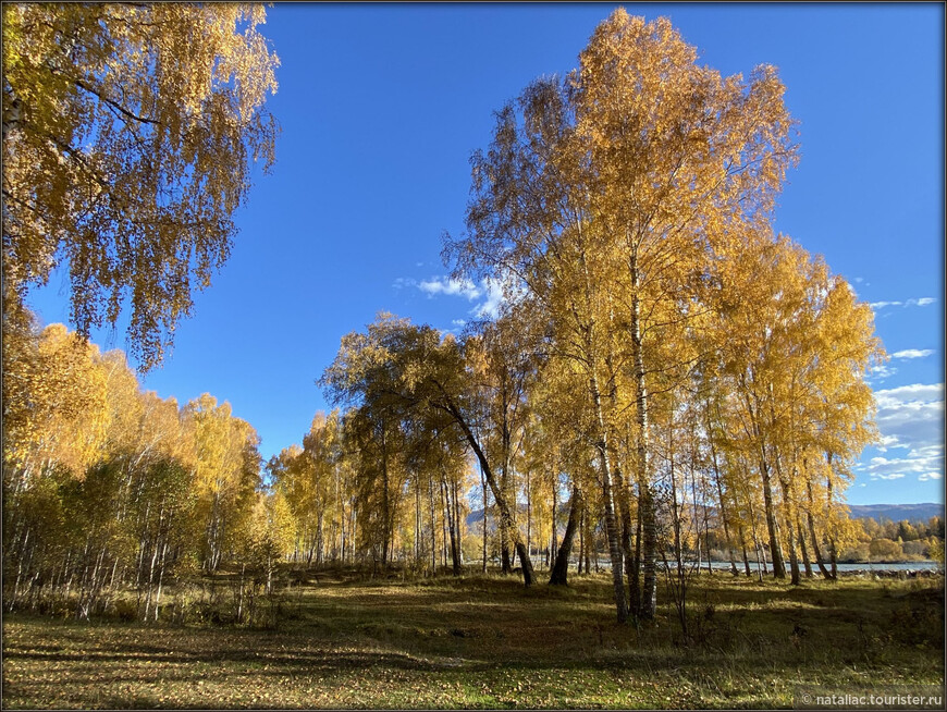«Осенние краски Уймонской долины». Прощальный день: на гору Маяк с закрытыми глазами, посиделки на берегу Катуни и у костра в ночи 