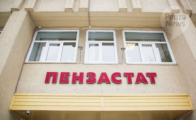 Средняя зарплата в Пензенской области в I квартале 2023 года составила около 43 тыс. рублей. Фото из архива ИА «PenzaNews»