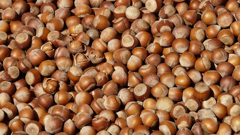 В Турции из-за неурожая фундука под угрозой оказалось производство шоколада