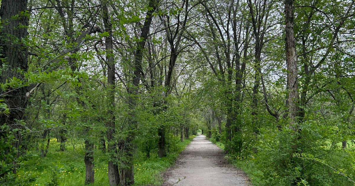 Прокуратура и Минприроды Самарской области доби...