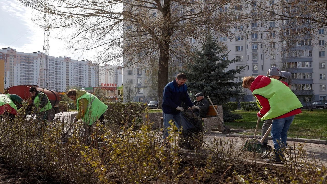 для отделения групповых площадок друг от друга используют зеленые насаждения фото 46