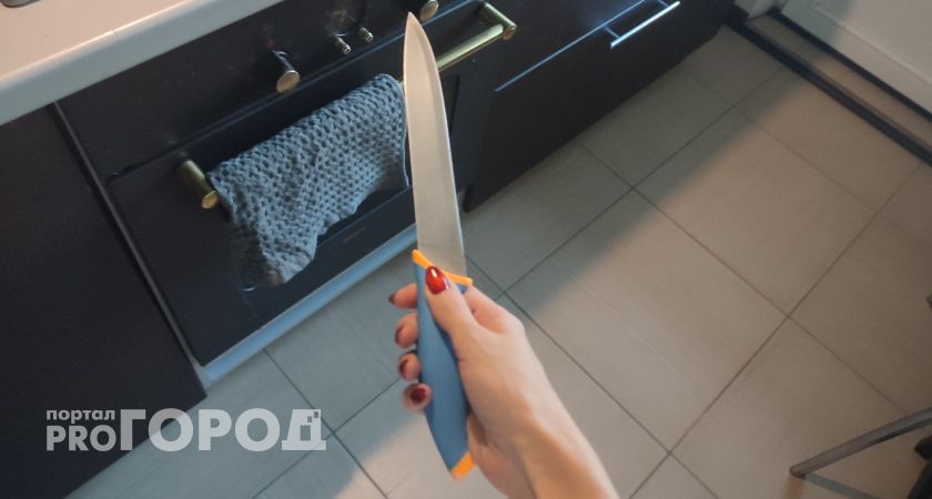 Житель Коми получил удар ножом в сердце от разъяренной женщины 