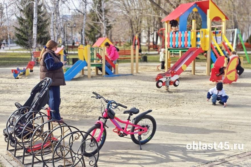 Курганские родители с двумя и более детьми получат новую семейную выплату 