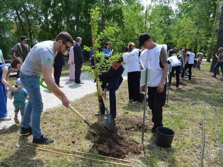 Деревья подарили своим детям 10 семей Комсомольска