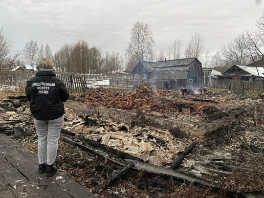 В Архангельской области дотла сгорел деревенский дом - погибли трое