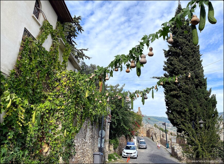 Аланья в ноябре. Пещера Дамлаташ. Красная башня. Судоверфь Терсане.