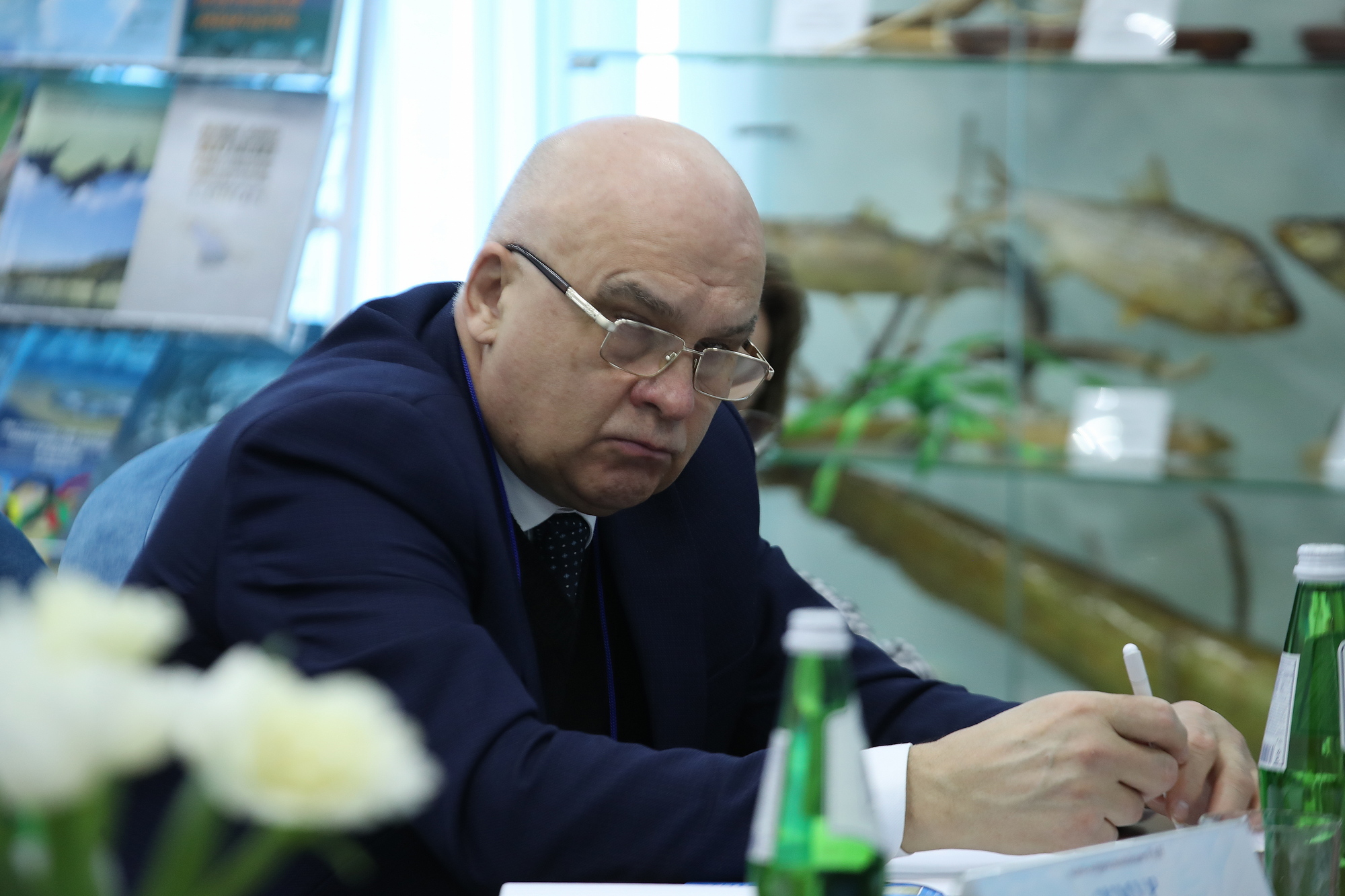 южный ассоциации