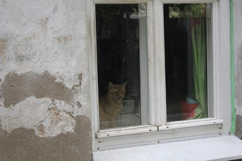 Пять-шесть дней в Костроме будет дождливо