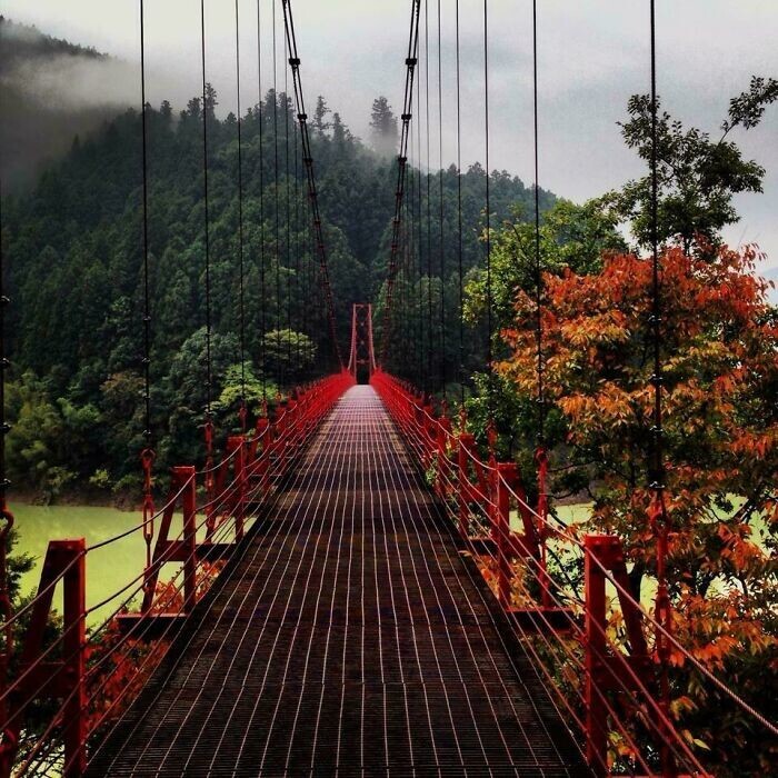 6. Я сделал снимок подвесного моста в горах Вакаяма, Япония