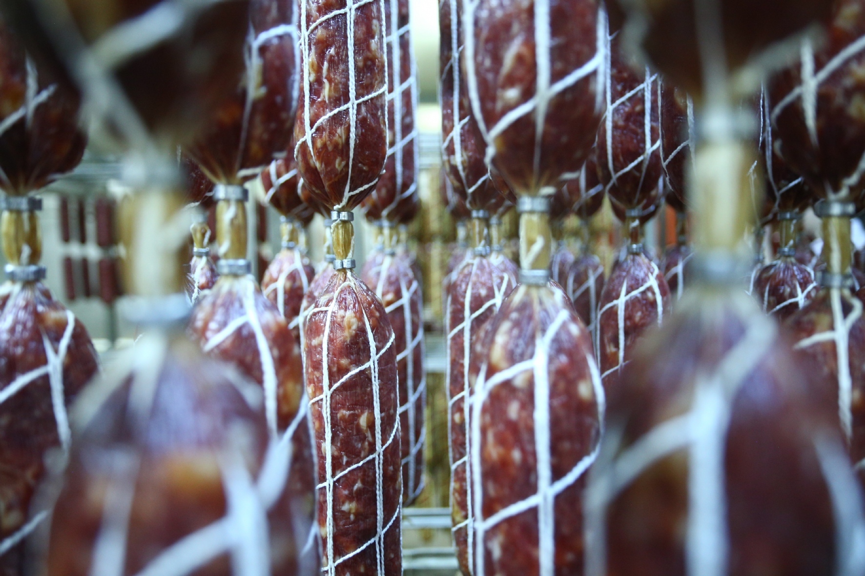 Фото: Ведомости / PhotoXPress.ru