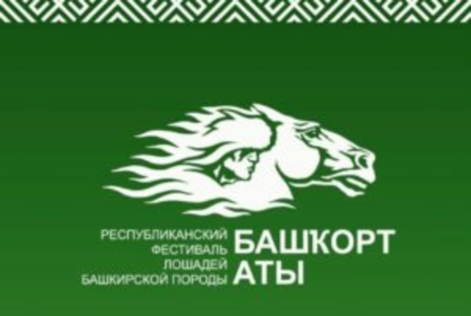 Лигнум башкорты. Башкирские националисты башкорт. Башкирский конь. Башкир на лошади. Башкорт фото.