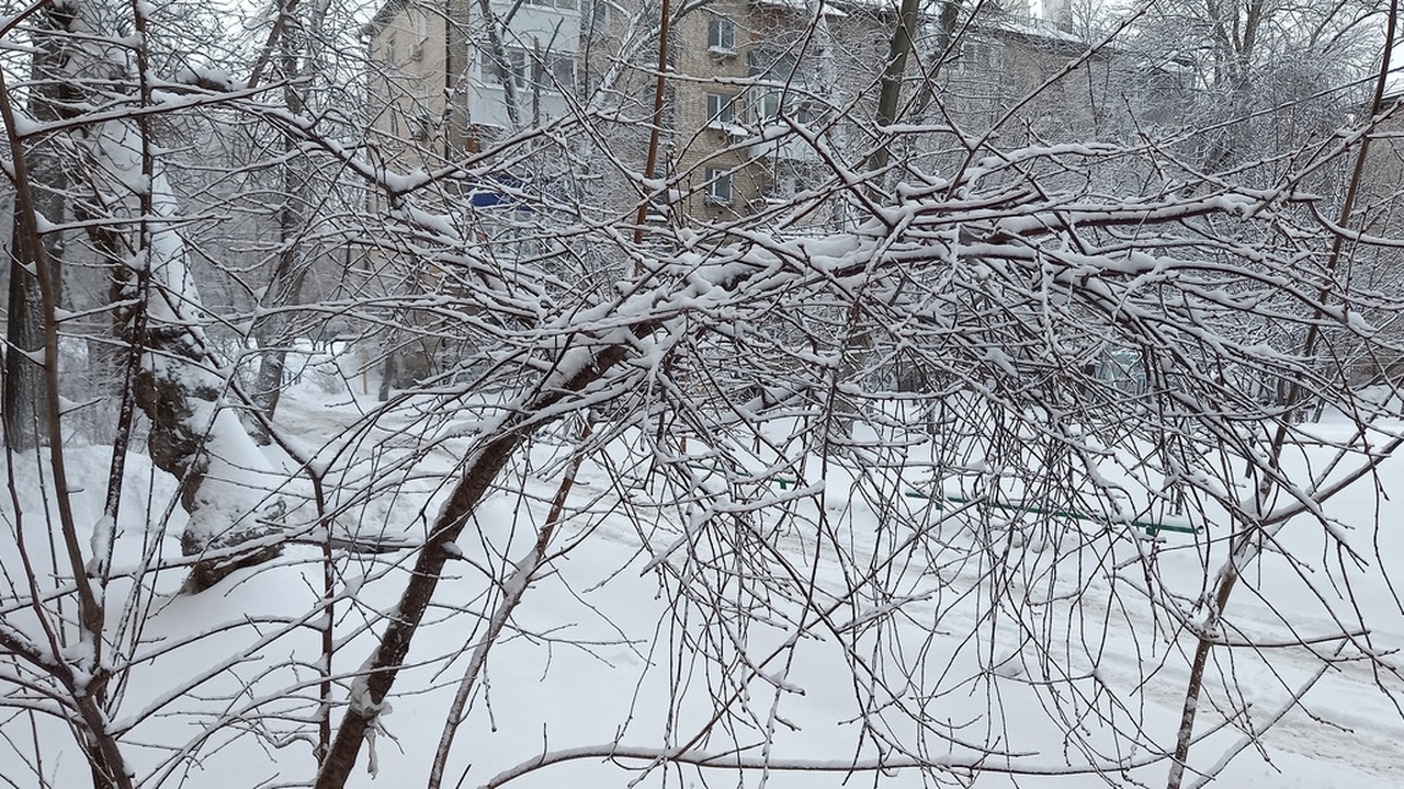 Согласно прогнозам синоптиков, последние дни де...