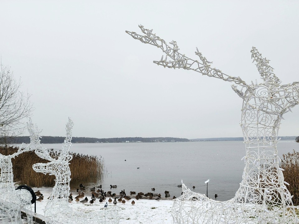 «Упрел, как на лыжах!»: житель Солнечногорска устроил заплыв на сапе по зимнему Сенежу