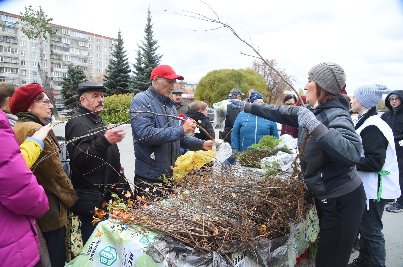 Чмк челябинск новости