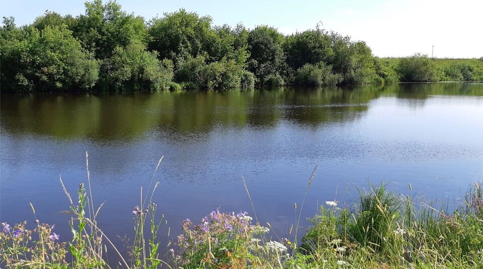 «Все снести бульдозером»: томские активисты боятся «экологической реабилитации» озера Беленькое