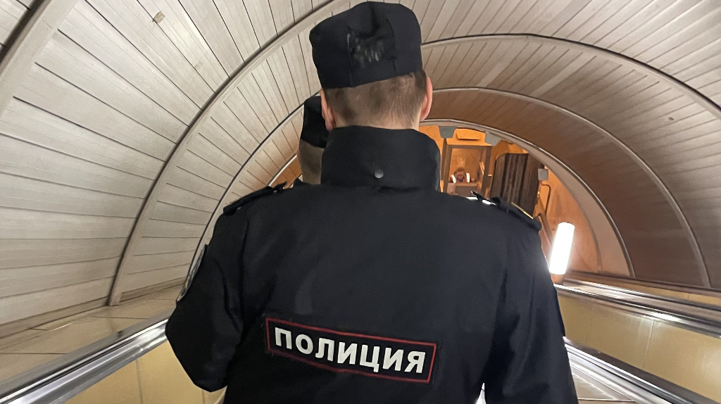 В Брянске посадили мигранта, который от любви к России избил трёх полицейских