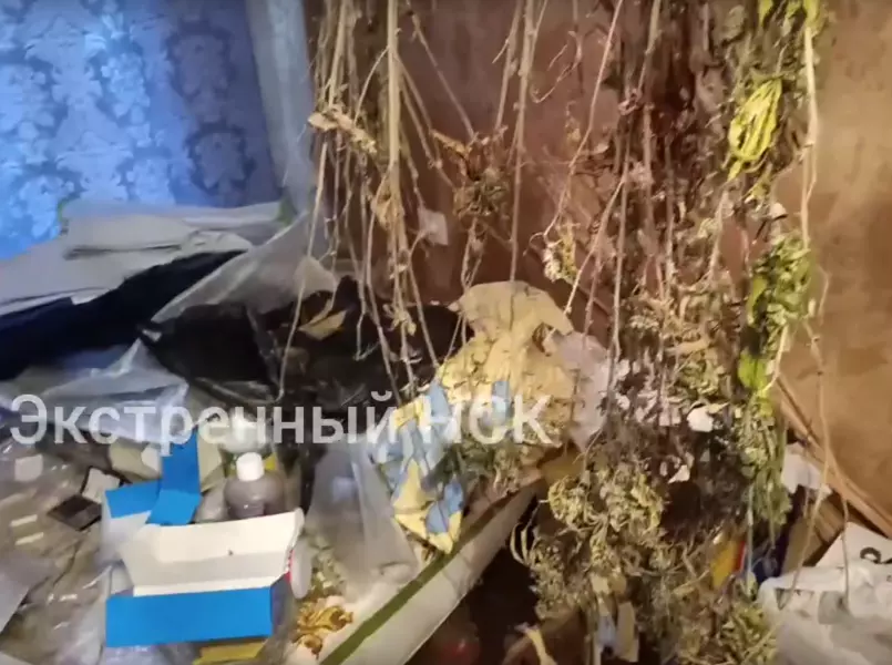Сотрудник одного из институтов Академгородка задержан за производство наркотиков растительного происхождения. В Сети появилось видео из нарколаборатории.