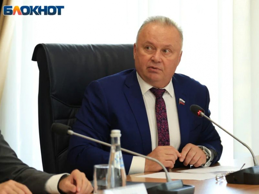На праймериз выдвинулся единоросс, которому прочат место спикера Воронежской гордумы