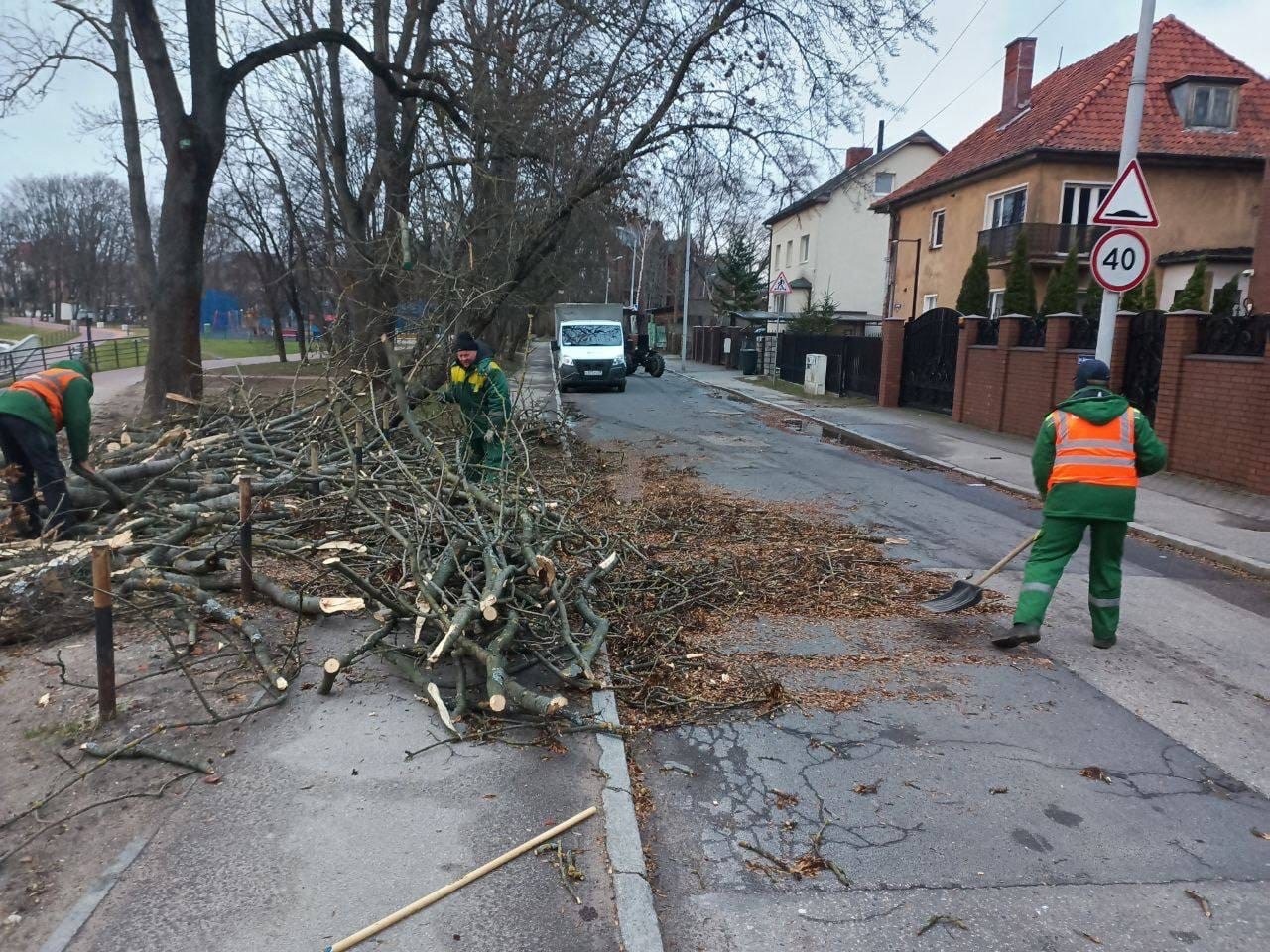 Сегодня в калининграде. Ураган в Калининграде. Поваленное дерево. Шторм в Калининграде. Деревья в Калининграде.