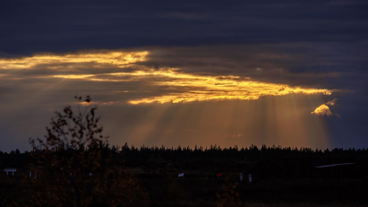 Рязань, природа