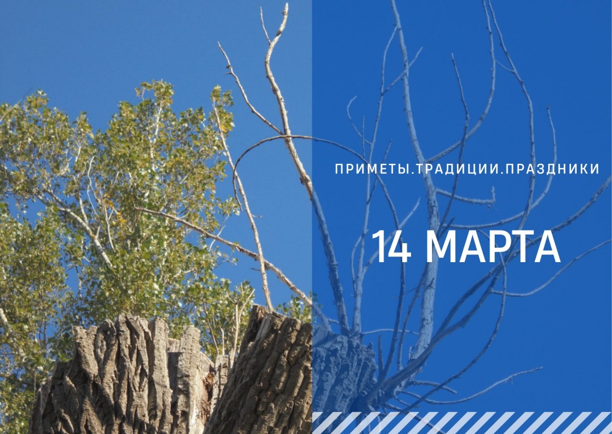 Приметы 14 марта: пробуждение весны и традиции на Евдокию Свистунью