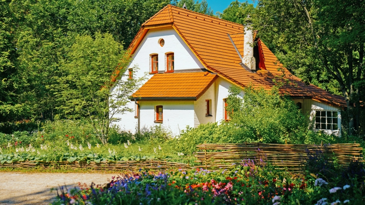 Светлана Мулыкина