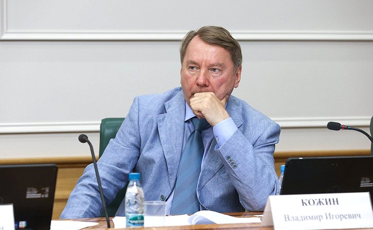 Владимир Кожин