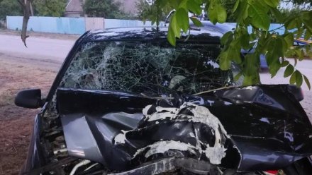 В Крыму водитель иномарки выехал на «встречку» и врезался в дерево