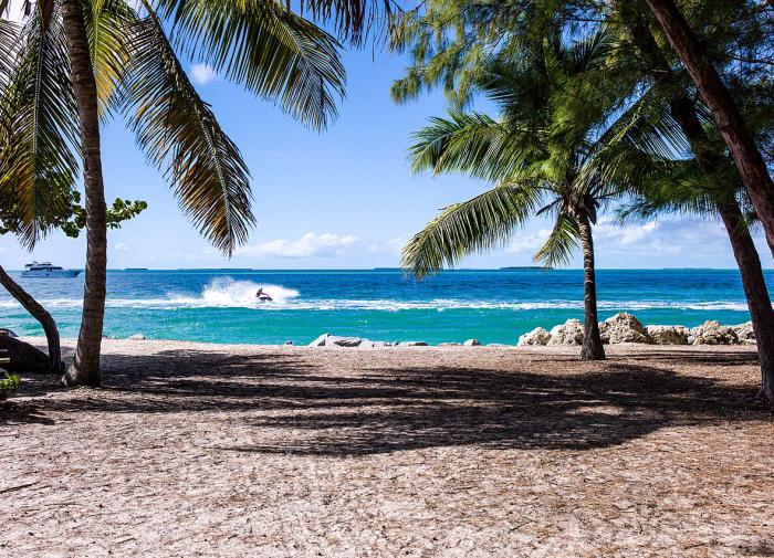 77-летний актёр Чарльз Дэнс отдохнул с возлюбленной на нудистском пляже