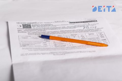 Мошенники заботятся о коммунальных делах жителей Дальнего Востока