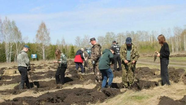 В Омской области высажены тысячи деревьев в честь героев Великой Отечественной войны и СВО