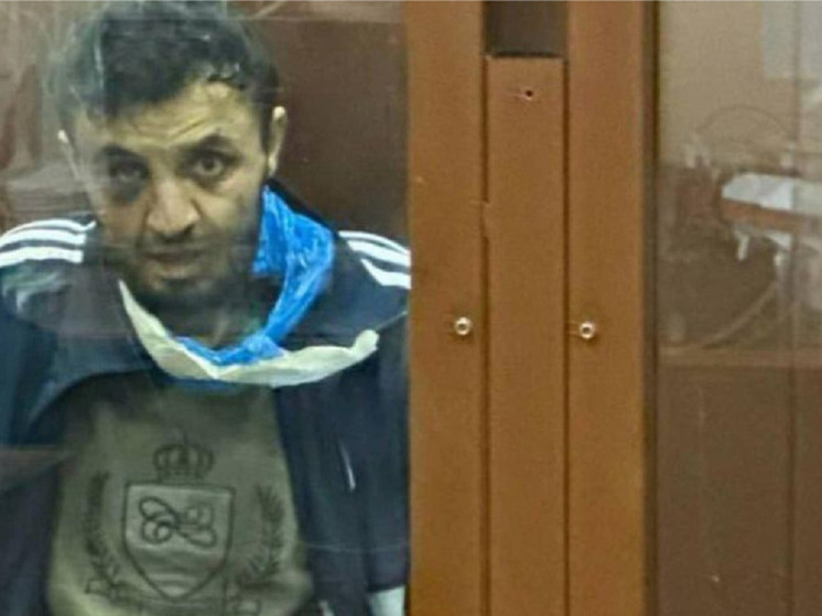 В Новосибирске задержали со взрывчаткой подельника террориста «Крокуса» Мирзоева*
