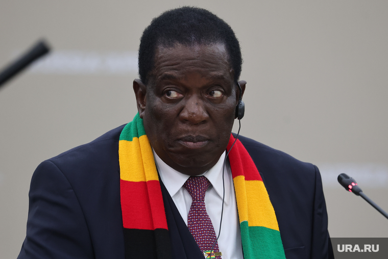 Встреча президента России Владимира Путина с президентом Зимбабве Эммерсоном Мнангагвой. Санкт-Петербург