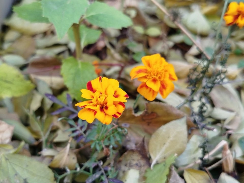 Предстоящие выходные в Подмосковье будут теплыми