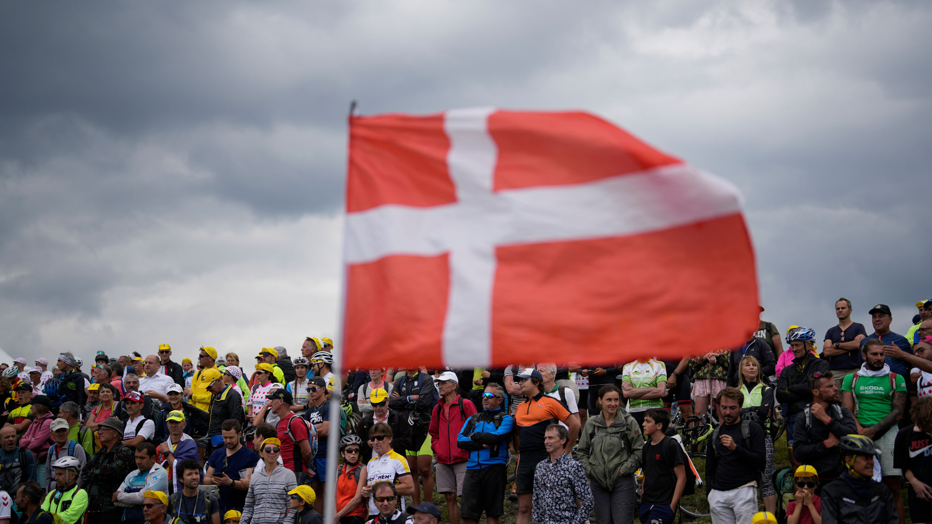 В Дании всех взрослых хотят регистрировать как доноров органов