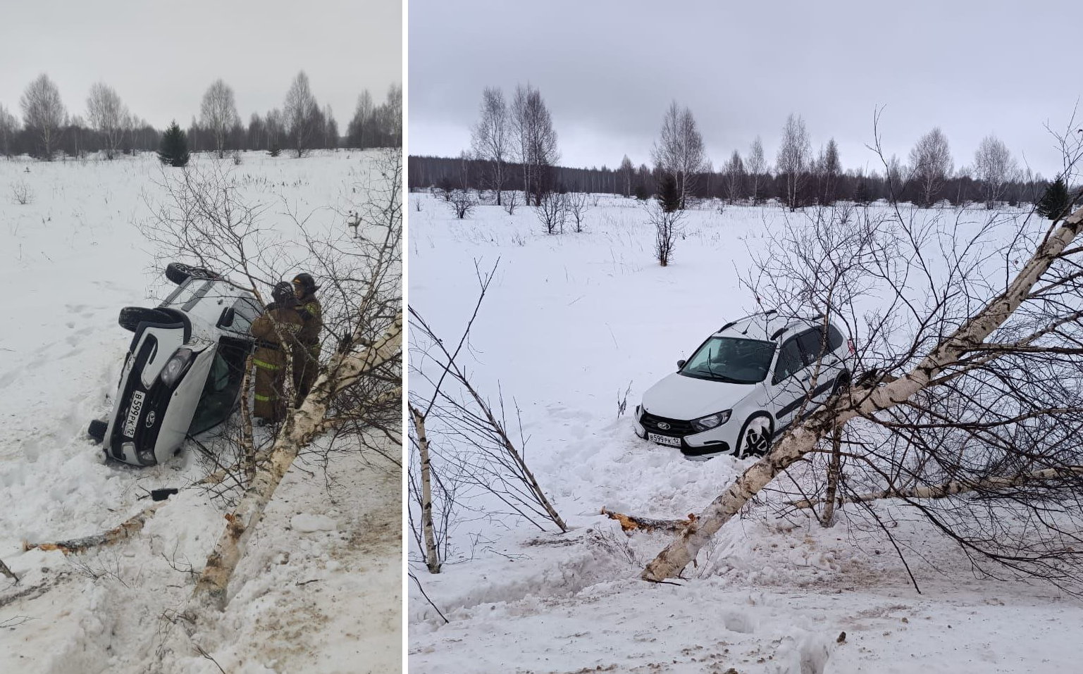 «Лада Гранта» съехала в кювет, врезалась в дерево и перевернулась на трассе в Сернурском районе