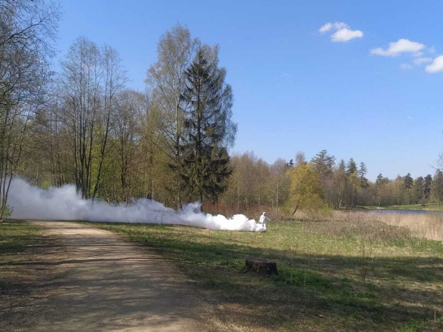 Парки Гатчинского округа обработают от клещей