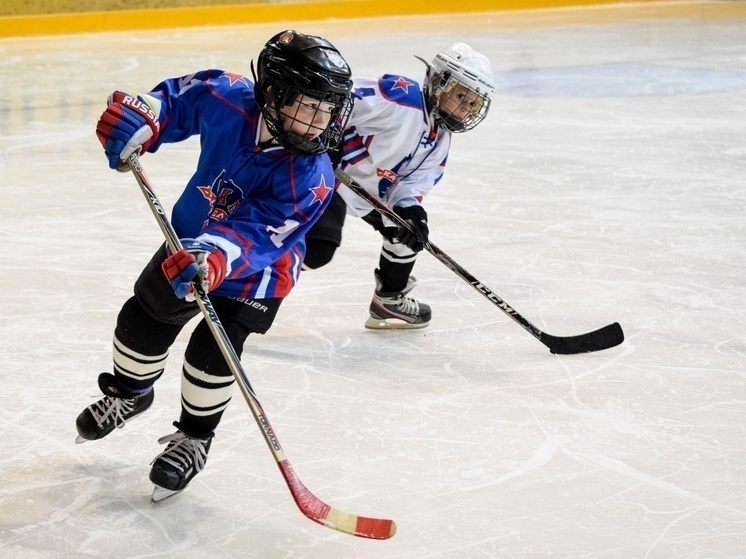 Юные хоккеисты Карелии потеряли спонсора, контракт разорван