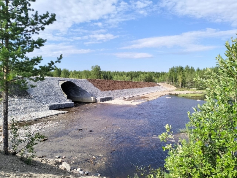 Погода в зареченске мурманской