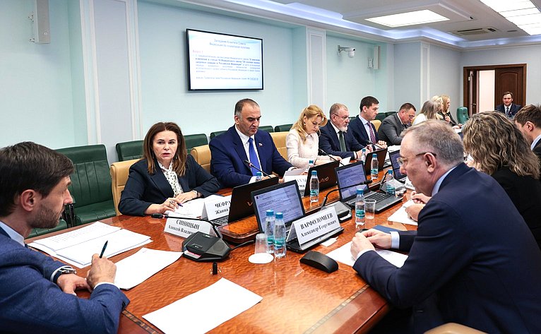 Заседание Комитета Совета Федерации по социальной политике