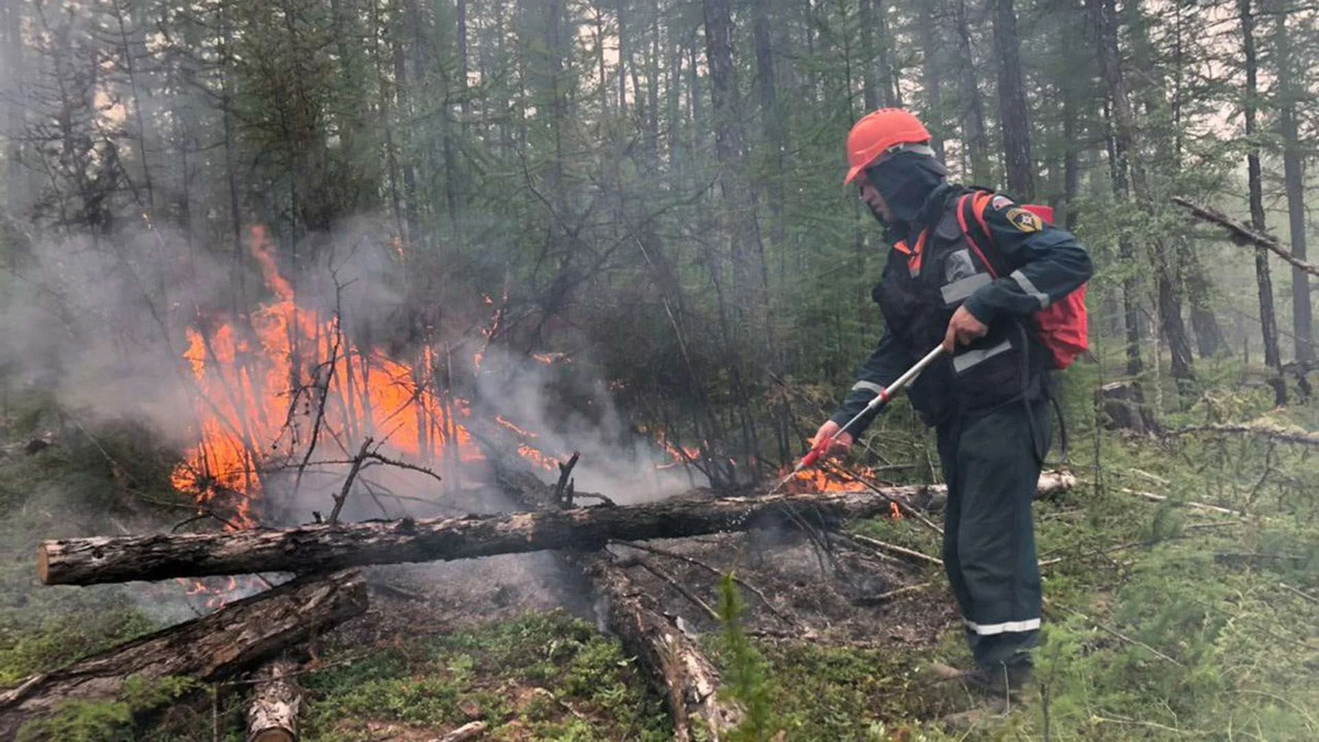 Последние лесные пожары в россии. Лесные пожары в Якутии 2021. Пожар леса. Тушение пожара в лесу. Пожар в лесу МЧС.