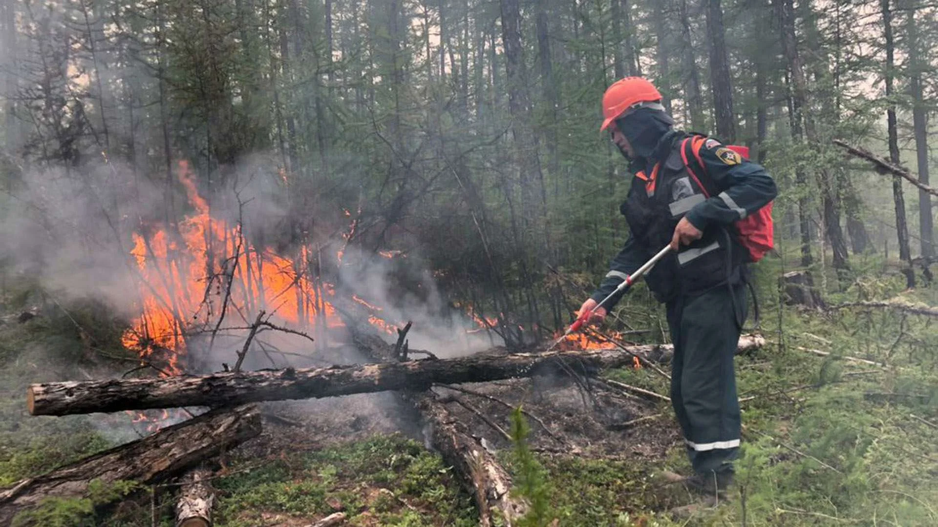 Область огня. Природные пожары. Пожар леса. Пожары в лесах. Лесные пожары в Якутии.