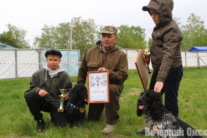 Лайки, борзые и гончие: в Омске прошла выставка охотничьих собак