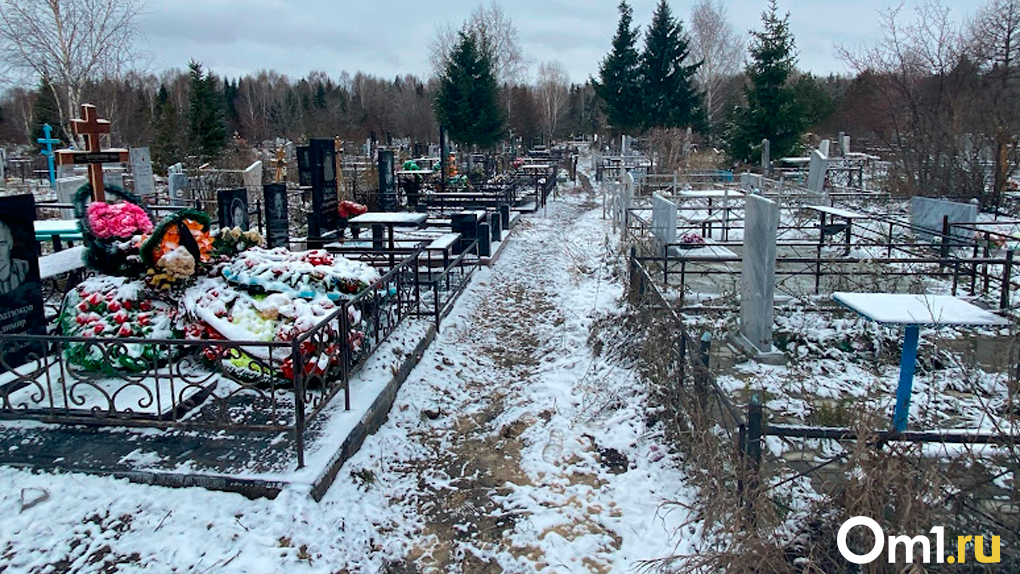 Андреевское кладбище Омск. Андреевка кладбище Омск. Лукьяновка кладбище Омск. Москаленский район новое кладбище.