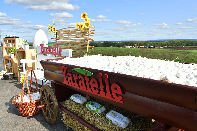 Взялись за яйца: мегакурятник «Ак Барс Холдинга» за 11 миллиардов