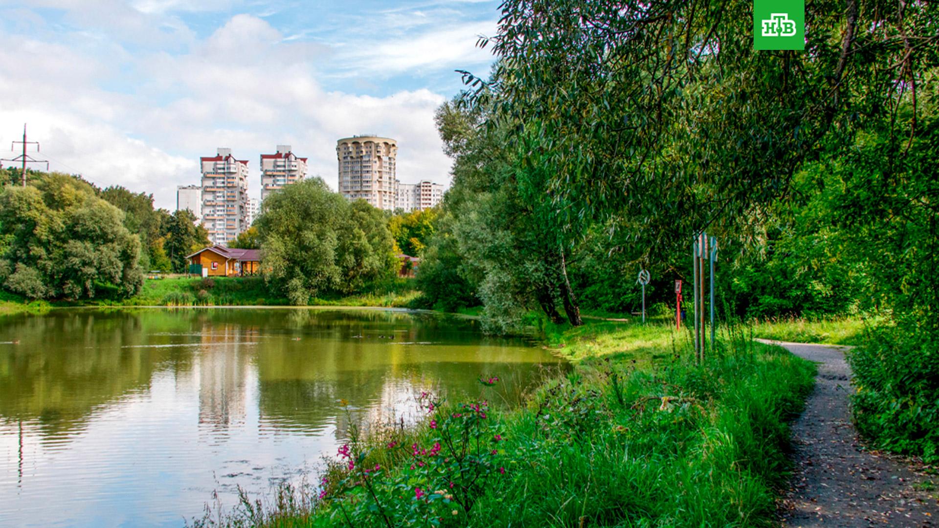 Лосиный остров москва. Парк Лосиный остров. Лосиный остров национальный парк Москва. Лосиный остров Королев. Королёве парк Лосиный остров.