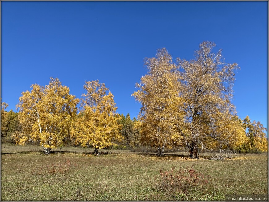 «Осенние краски Уймонской долины». Прощальный день: на гору Маяк с закрытыми глазами, посиделки на берегу Катуни и у костра в ночи 