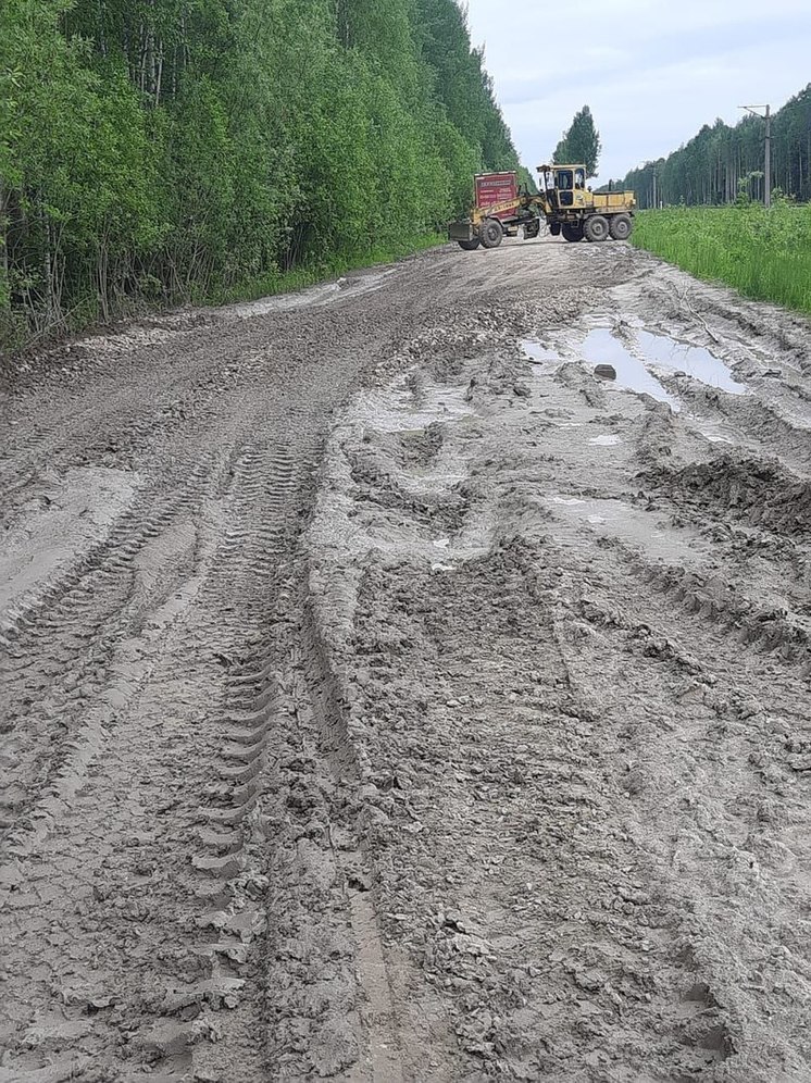 Глава Верхнекетского района ответила на недовольства из-за дороги Первомайское-Белый Яр