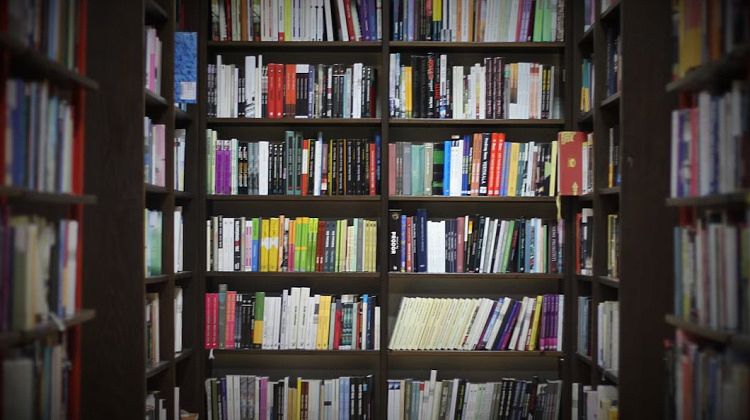 Что сейчас читают на Кубани: обзор прямиком из книжного магазина